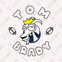 My Sporting Icons, Tom Brady_Watermark White