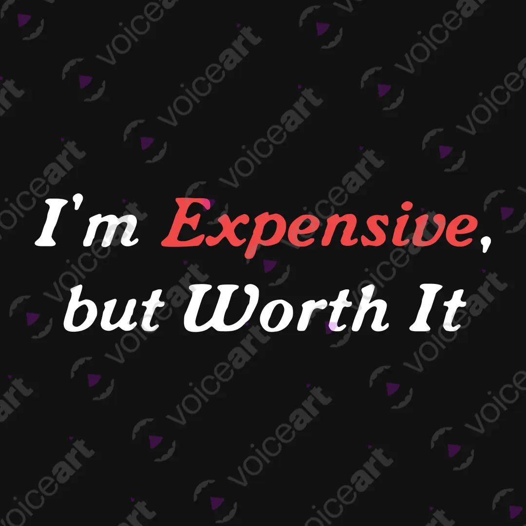 VOICEART Black Watermark I Am Expensive But Worth It Funny Meme Tee Sarcastic Joke Cotton T-Shirt for Men and Women