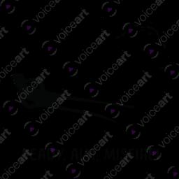 Don’t Throw Caution To The Wind_Watermark White