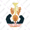 Black Watermark Donald Trump Sarcastic and Mildly Offensive design VOICEART